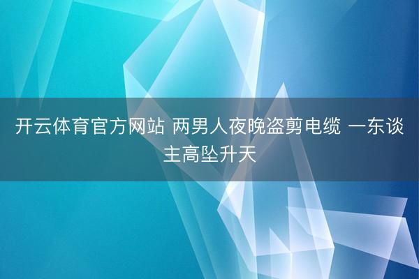 开云体育官方网站 两男人夜晚盗剪电缆 一东谈主高坠升天