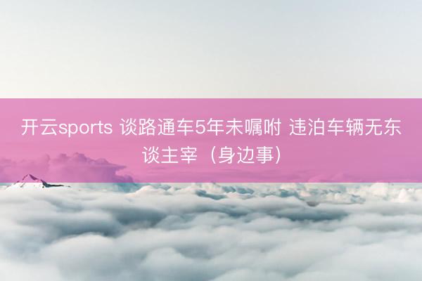 开云sports 谈路通车5年未嘱咐 违泊车辆无东谈主宰(身边事)