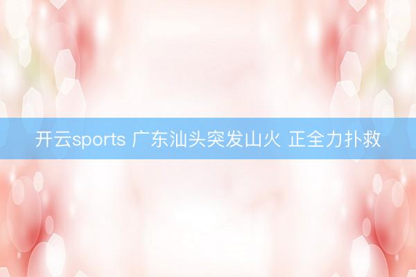 开云sports 广东汕头突发山火 正全力扑救