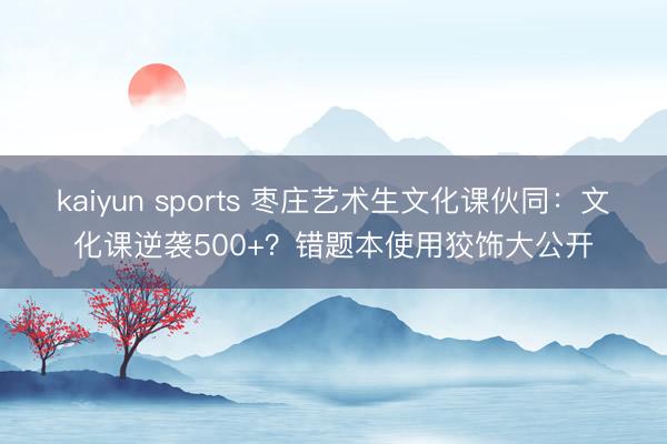 kaiyun sports 枣庄艺术生文化课伙同：文化课逆袭500+？错题本使用狡饰大公开