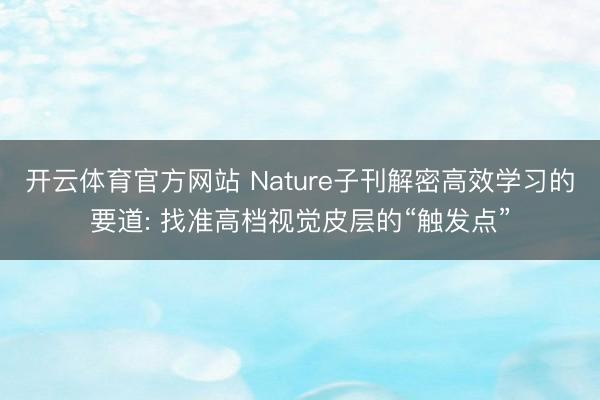 开云体育官方网站 Nature子刊解密高效学习的要道: 找准高档视觉皮层的“触发点”