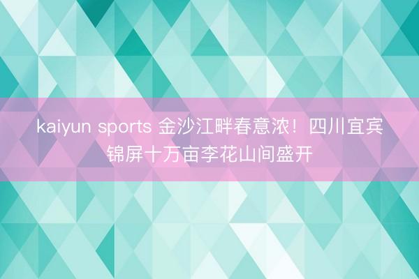 kaiyun sports 金沙江畔春意浓！四川宜宾锦屏十万亩李花山间盛开