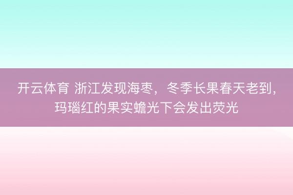 开云体育 浙江发现海枣，冬季长果春天老到，玛瑙红的果实蟾光下会发出荧光