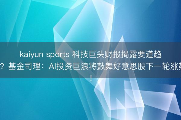 kaiyun sports 科技巨头财报揭露要道趋势？基金司理：AI投资巨浪将鼓舞好意思股下一轮涨势！
