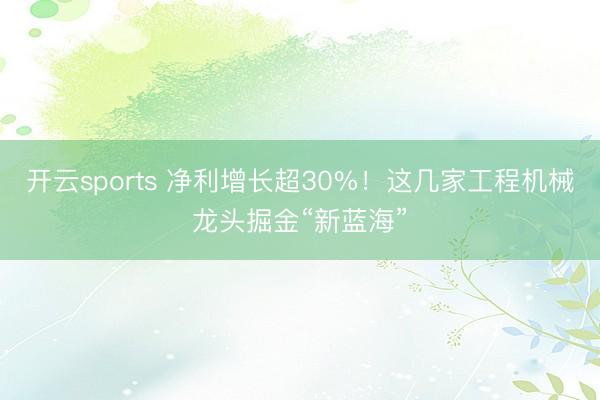 开云sports 净利增长超30%！这几家工程机械龙头掘金“新蓝海”