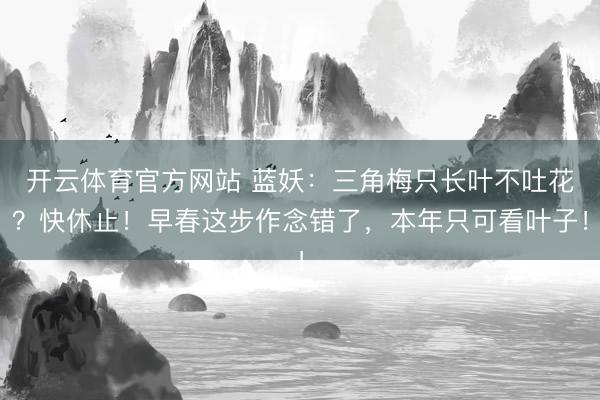 开云体育官方网站 蓝妖：三角梅只长叶不吐花？快休止！早春这步作念错了，本年只可看叶子！